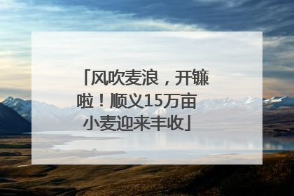风吹麦浪，开镰啦！顺义15万亩小麦迎来丰收